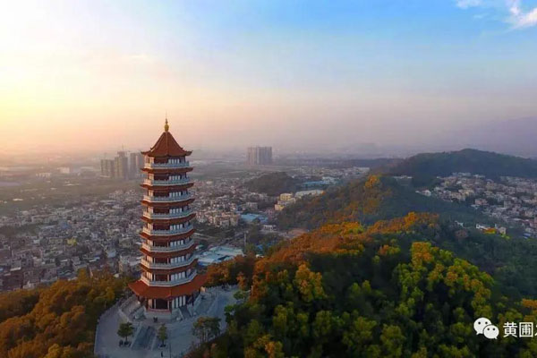 最大限度激發(fā)市場主體活力！市長危偉漢到黃圃調(diào)研，參觀廣東榮業(yè)食品有限公司