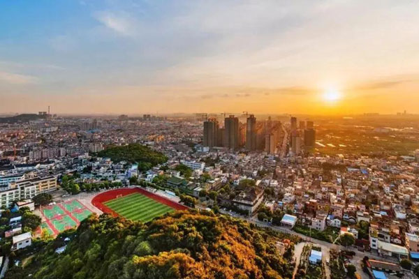 支持和服務(wù)好現(xiàn)有企業(yè)！黃圃鎮(zhèn)全力以赴促發(fā)展